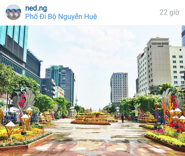 Instagram ngập tràn hoa vì bạn trẻ hào hứng check-in phố đi bộ - Ảnh 1.