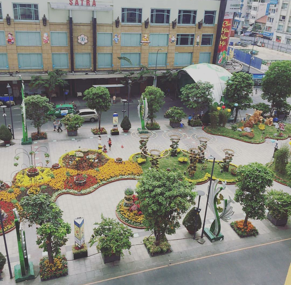 Instagram ngập tr&agrave;n hoa v&igrave; bạn trẻ h&agrave;o hứng check-in phố đi bộ - Ảnh 4.