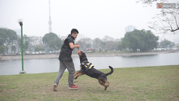 Bí kíp khống chế và thoát nạn an toàn khi bị chó dữ cắn - Ảnh 4.