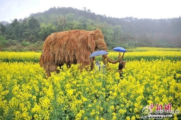 Du khách Trung Quốc đổ xô đi xem triển lãm... bù nhìn rơm - Ảnh 6.