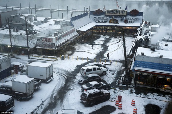 9 người chết vì siêu bão tuyết cực mạnh tại Mỹ - Ảnh 16.