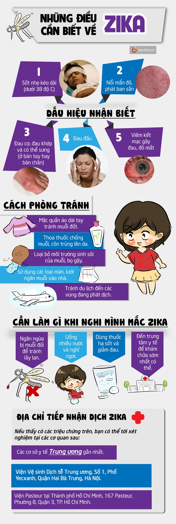 Cẩm nang bảo vệ bản thân khi Zika đến Việt Nam - Ảnh 1.