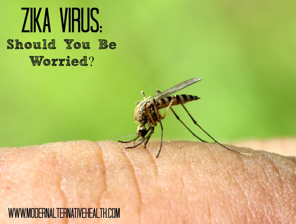 Tốc độ l&acirc;y lan của virus Zika g&acirc;y teo n&atilde;o đang đ&aacute;ng sợ đến mức n&agrave;o? - Ảnh 1.