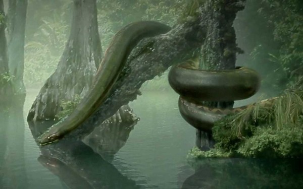 Quái vật Titanoboa đáng sợ như thế nào #8 Quái vật Titanoboa đáng sợ như thế nào