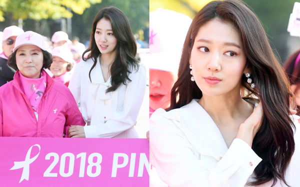 park shin hye fake