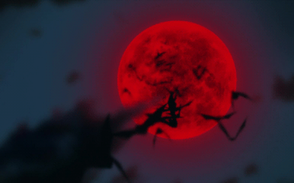 Tổng hợp hình ảnh Trăng Máu đẹp nhất | Ánh trăng, Hình ảnh, Hình