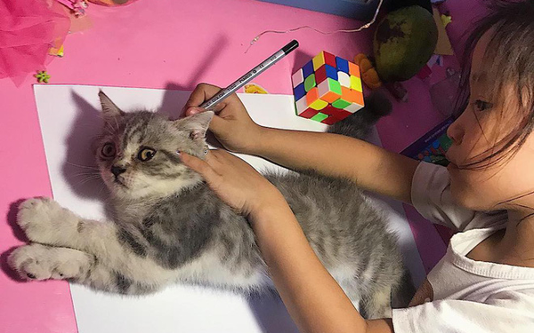 Góc Sáng Tạo: Được Cô Giáo Giao Bài Tập Vẽ Con Mèo, Bé Gái Bê Luôn Boss Nhà  Ra 