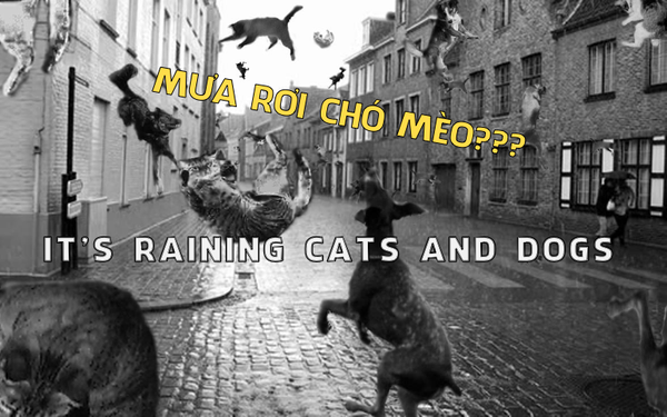 It\'s raining cats and dogs có nghĩa là gì và xuất phát từ đâu?
