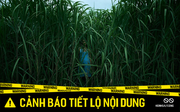 73. Phim In the Tall Grass - Trong cỏ cao