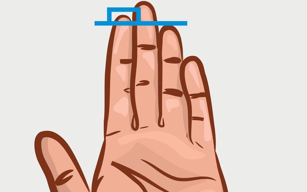 Chiều dài ngón trỏ và ngón đeo nhẫn tiết lộ sự thành đạt, khả năng làm lãnh  đạo, ưu – khuyết điểm của bạn!