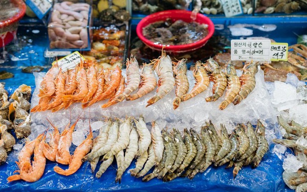 Ở Hàn Quốc, mulhoe là một món ăn phổ biến của hải sản sống. Bạn có thể cho biết về món mulhoe này? 
