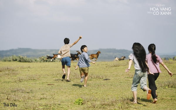 Káº¿t quáº£ hÃ¬nh áº£nh cho tÃ´i tháº¥y hoa vÃ ng trÃªn cá» xanh