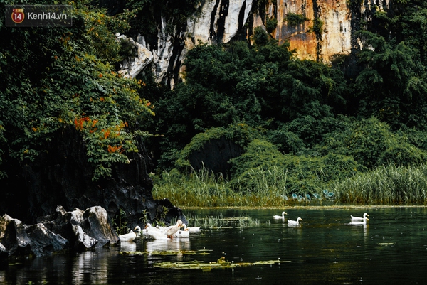 Van Long lagoon