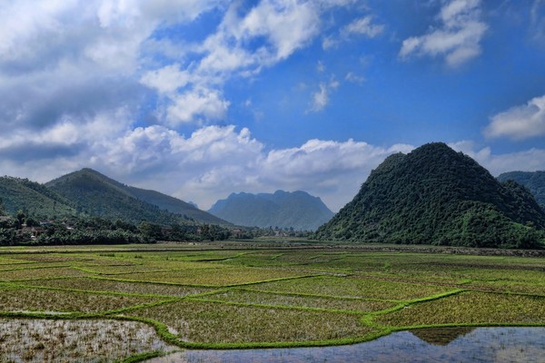 phong nha 1-c35f3