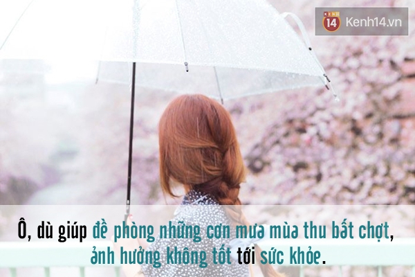 2 copy-a4648