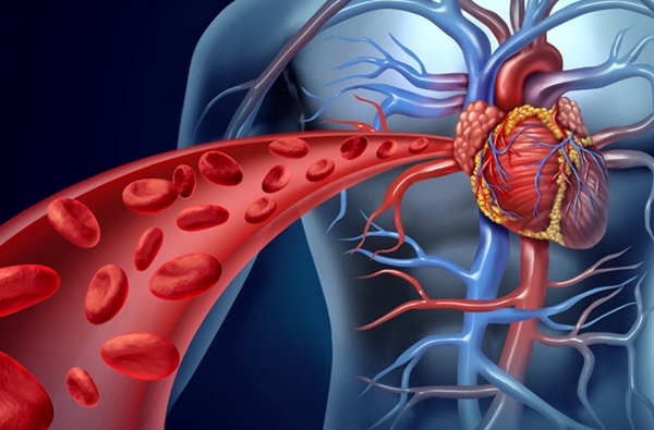 blood-circulation-improve-3b17f