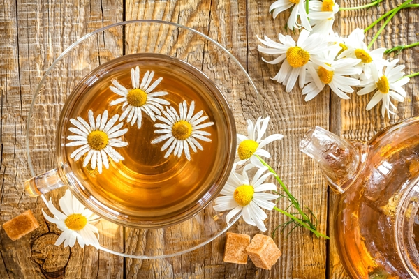 tea_time_cup_petals_flowers_daisy_daisies_hd-wallpaper-1834087-e9a66