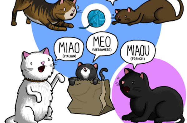 Tiếng kêu của động vật khác nhau thế nào qua các ngôn ngữ