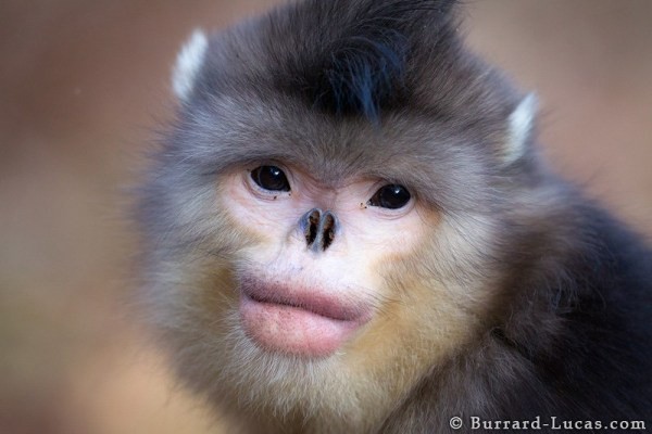 151009animals06-7b46c