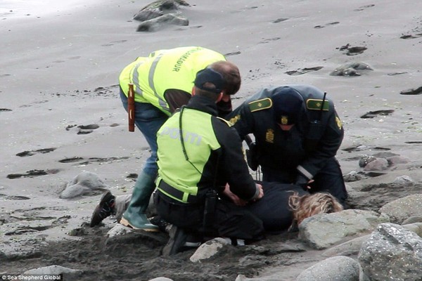 2AD0011A00000578-3173617-Arrested_Five_Sea_Shepherd_activists_were_arrested_by_police_on_-a-62_1437762253460-0ceb5