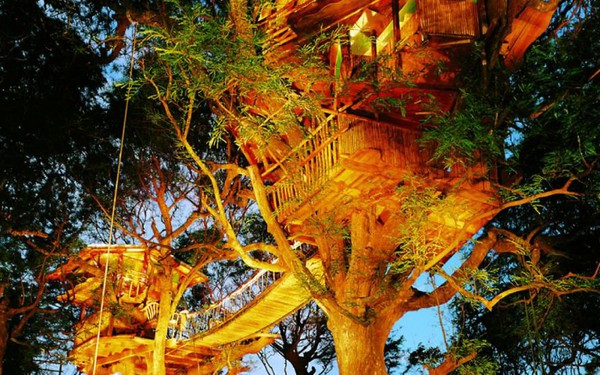 Sanya-Tree-house__880-5ad69