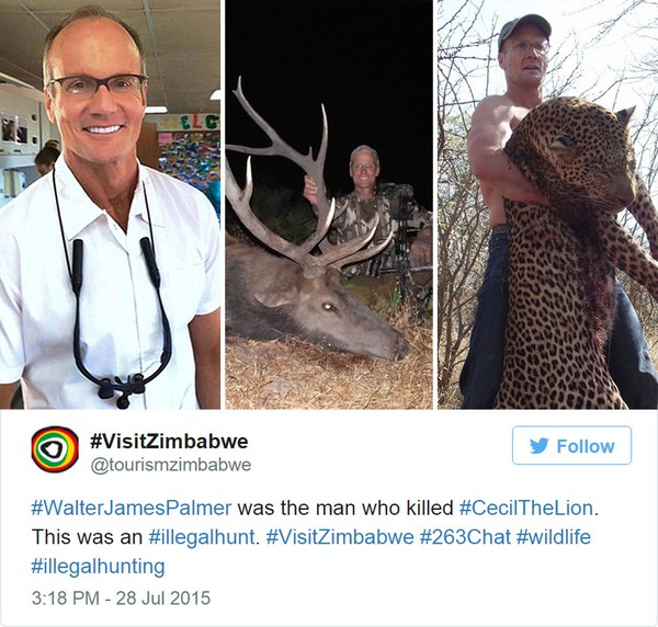 cecil-lion-illegal-hunting-internet-backlash-walter-palmer-zimbabwe-9-3a83c