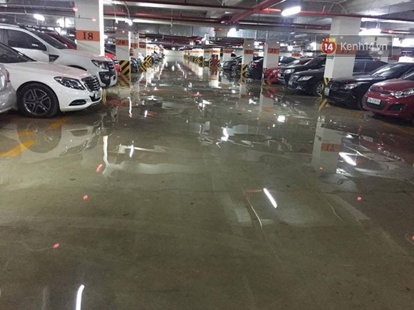 12033081_10153587678398686_998311201351579591_n-6ed9f-0d1cb