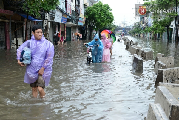 IMG_20150922_57352-4ee6d