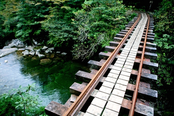 Japan-Yakushima-Walking-Tours-f9b3b