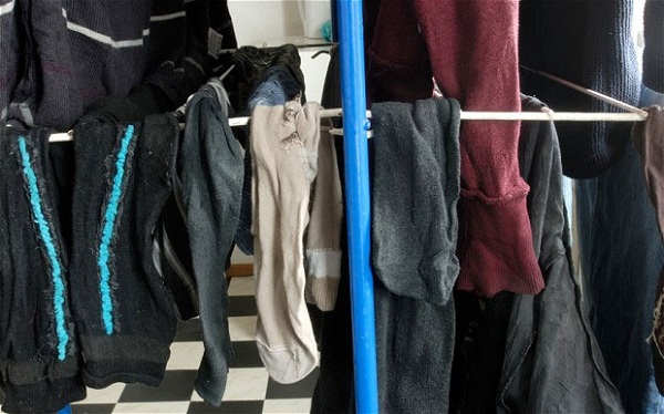 Ph&aacute;t hiện lo&agrave;i ếch mới cực nhỏ c&oacute; 3 ng&oacute;n ch&acirc;n  4