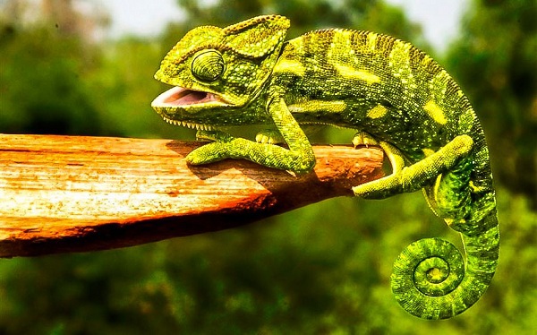 5 "nhầm nhọt" về thế giới kh&ocirc;ng phải ai cũng biết 9