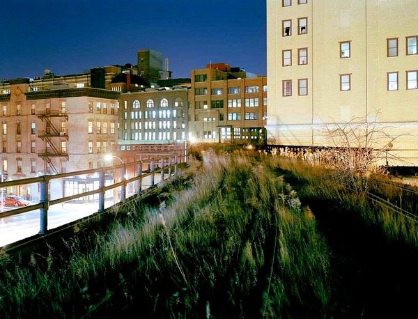 Dạo chơi trong khu vườn tr&ecirc;n... kh&ocirc;ng trung ở New York 6
