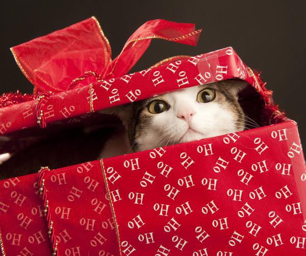 Những truyền thống "biết nhưng kh&ocirc;ng hiểu" về Noel 7