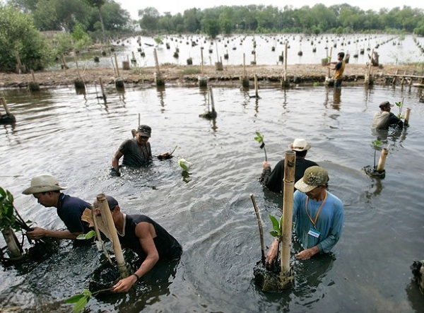 Top 9 thành phố có nguy cơ chìm xuống biển 13