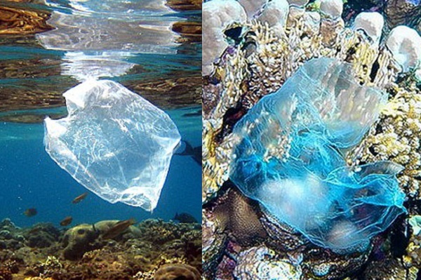 plastic-bags-in-ocean-39216.jpg