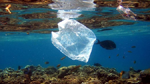 plastics-ocean-8e14f.jpg