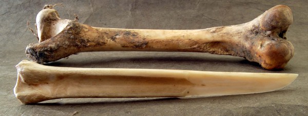 Bone-knife-c0152.jpg