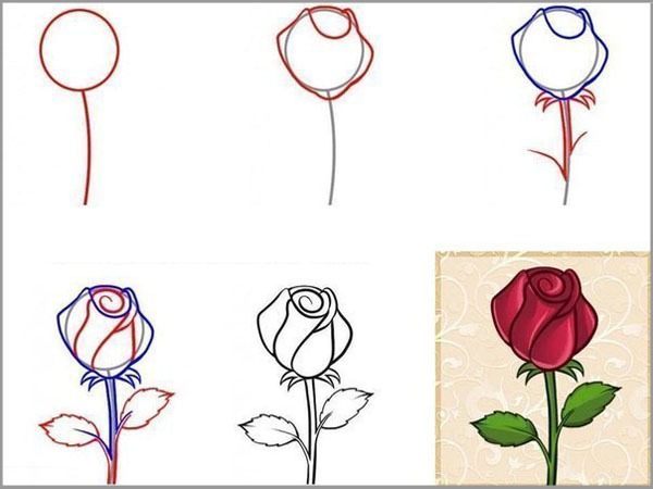 Học vẽ: 8 cách vẽ hoa hồng \