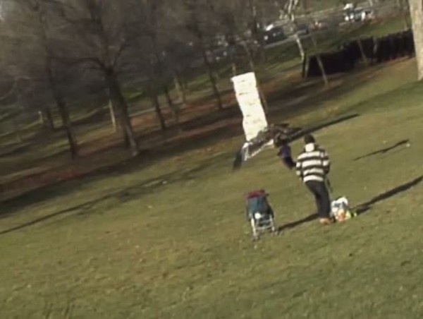 Đại bàng sà xuống quắp trẻ em ở công viên  7