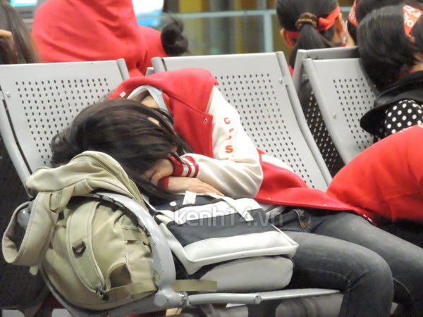 Một fan nữ ngủ đêm tại sân bay Nội Bài bị ngất  7