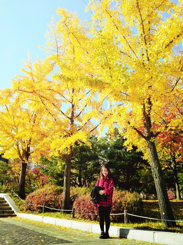 Đẹp ngỡ ngàng mùa thu lá đỏ Hàn Quốc 9