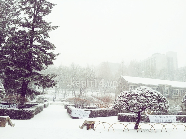 Hàn Quốc tuyệt đẹp sau trận tuyết đầu đông 14