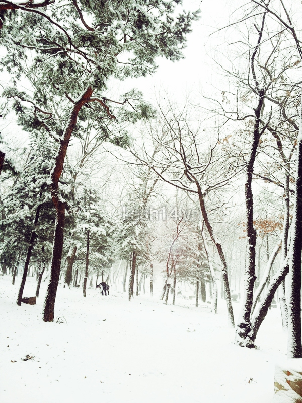 Hàn Quốc tuyệt đẹp sau trận tuyết đầu đông 16