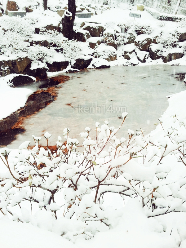 Hàn Quốc tuyệt đẹp sau trận tuyết đầu đông 20