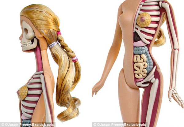 Nghệ sĩ "giải phẫu" búp bê Barbie 2