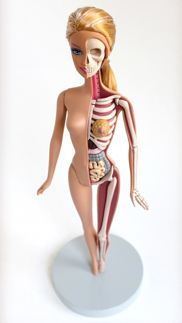 Nghệ sĩ "giải phẫu" búp bê Barbie 1