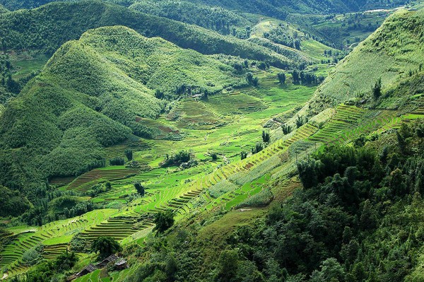 Sapa_Hillside_vietnam_mountain-72e9d.jpg