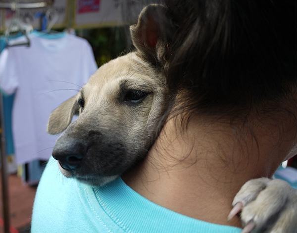 cute-dogs-hugging-humans-100-35caf.jpg