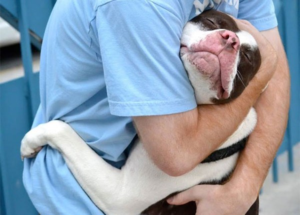 cute-dogs-hugging-humans-102-35caf.jpg