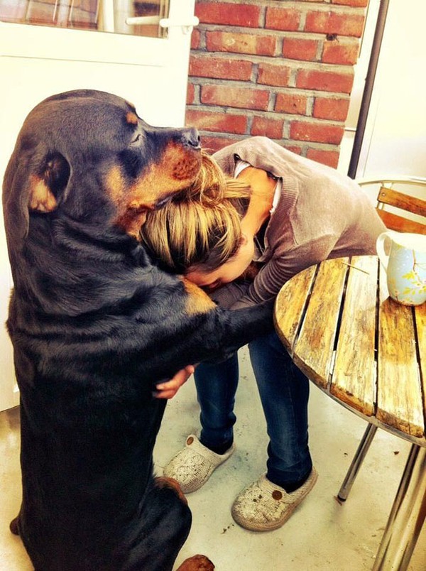 cute-dogs-hugging-humans-4-35caf.jpg